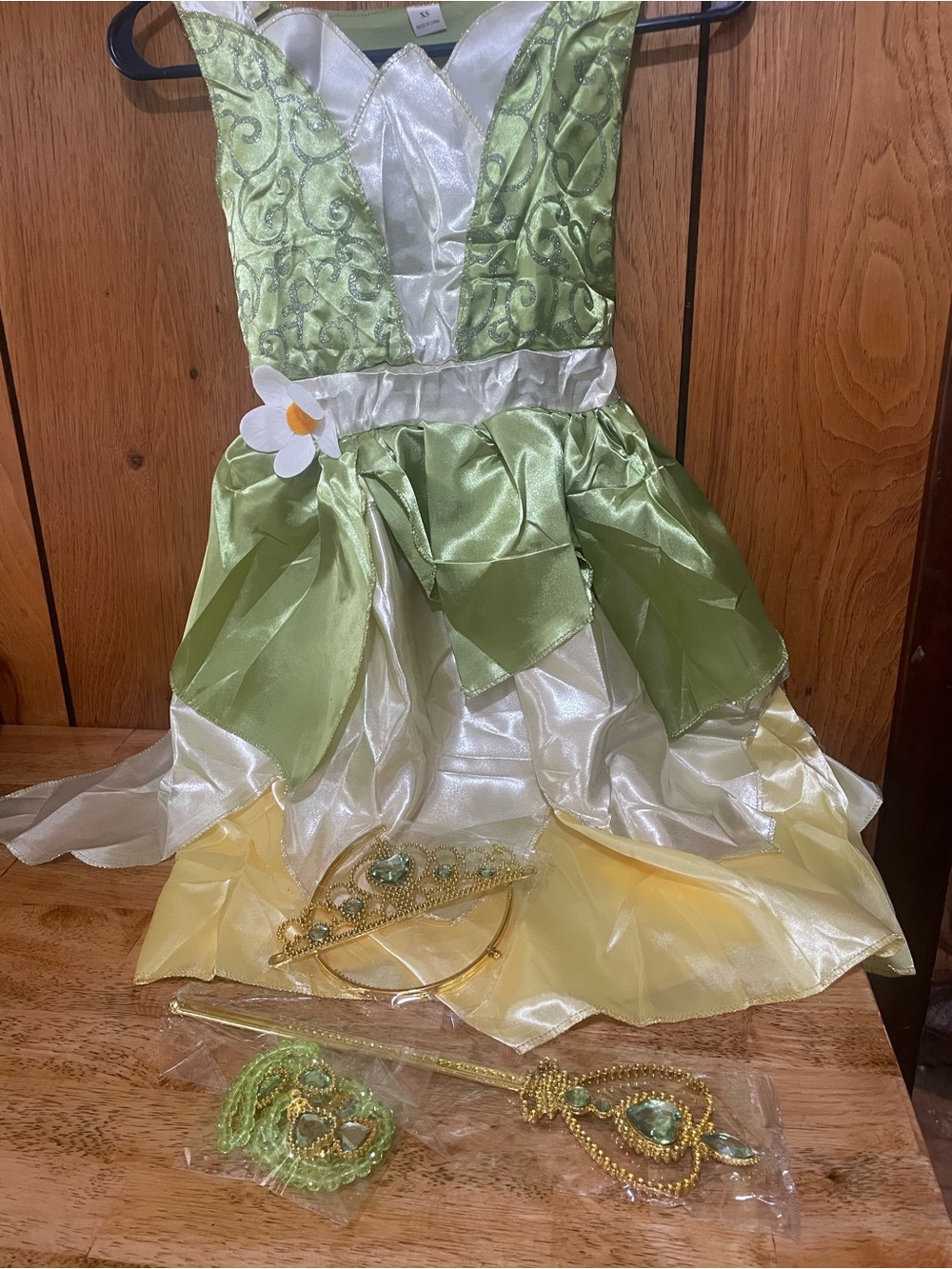 Girls Green and Cream Fairy Princess Dress with Floral Accent